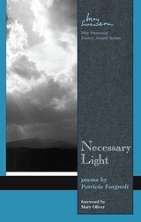 cover of Necessary Light