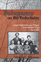 cover of Polygamy on the Pedernales: Lyman Wight's Mormon Village in Antebellum Texas