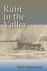 cover of Rain in the Valley: A Novel