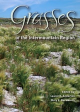 cover of Grasses of the Intermountain Region