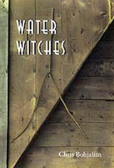 cover of Water Witches