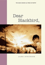 cover of Dear Blackbird,