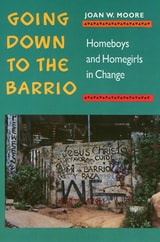 cover of Going Down To The Barrio: Homeboys and Homegirls in Change