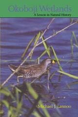 cover of Okoboji Wetlands: A Lesson in Natural History