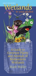 cover of Wetlands in Your Pocket: A Guide to Common Plants and Animals of Midwestern Wetlands