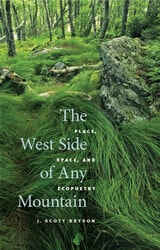 cover of The West Side of Any Mountain: Place, Space, and Ecopoetry