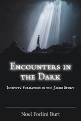 cover of Encounters in the Dark: Identity Formation in the Jacob Story