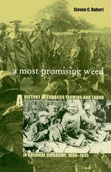 cover of A Most Promising Weed: A History of Tobacco Farming and Labor in Colonial Zimbabwe, 1890–1945