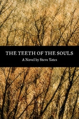 cover of The Teeth of the Souls: A Novel