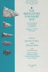 cover of The Bridgeport Township Site: Archaeological Investigation at 20SA620, Saginaw County, Michigan