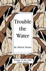 cover of Trouble the Water