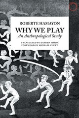 cover of Why We Play: An Anthropological Study