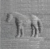 cover of Boaz Vaadia: Sculpture