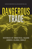 cover of Dangerous Trade: Histories of Industrial Hazard across a Globalizing World