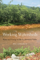 cover of Working Watersheds: Water and Energy in the Lackawanna Valley