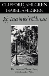 cover of Lob Trees In The Wilderness: The Human and Natural History of the Boundary Waters