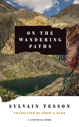 cover of On the Wandering Paths
