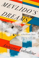 cover of Mevlido's Dreams: A Post-Exotic Novel