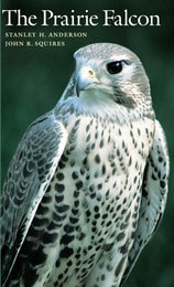 cover of The Prairie Falcon