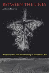 cover of Between the Lines: The Mystery of the Giant Ground Drawings of Ancient Nasca, Peru