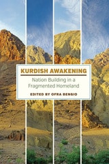 cover of Kurdish Awakening: Nation Building in a Fragmented Homeland