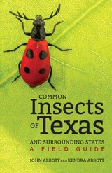 cover of Common Insects of Texas and Surrounding States: A Field Guide