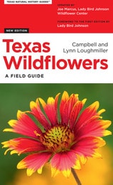 cover of Texas Wildflowers: A Field Guide