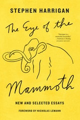 cover of The Eye of the Mammoth: New and Selected Essays