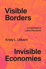 cover of Visible Borders, Invisible Economies: Living Death in Latinx Narratives