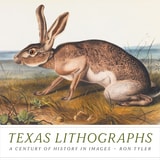 cover of Texas Lithographs: A Century of History in Images
