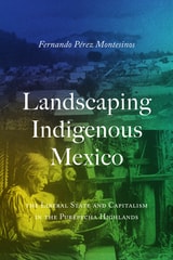 cover of Landscaping Indigenous Mexico: The Liberal State and Capitalism in the Purépecha Highlands