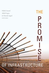 cover of The Promise of Infrastructure
