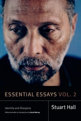 cover of Essential Essays, Volume 2: Identity and Diaspora