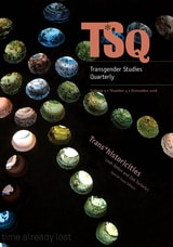 cover of Trans*historicities