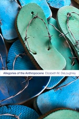 cover of Allegories of the Anthropocene