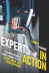 cover of Experts in Action: Transnational Hong Kong–Style Stunt Work and Performance