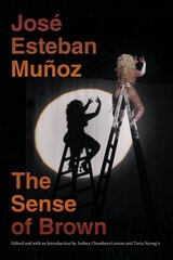cover of The Sense of Brown