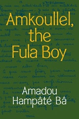 cover of Amkoullel, the Fula Boy