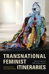 cover of Transnational Feminist Itineraries: Situating Theory and Activist Practice