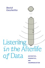 cover of Listening in the Afterlife of Data: Aesthetics, Pragmatics, and Incommunication