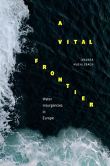 cover of A Vital Frontier: Water Insurgencies in Europe