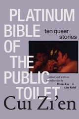 cover of Platinum Bible of the Public Toilet: Ten Queer Stories