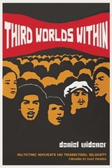 cover of Third Worlds Within: Multiethnic Movements and Transnational Solidarity