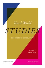 cover of Third World Studies: Theorizing Liberation