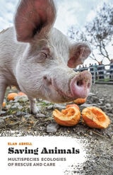 cover of Saving Animals: Multispecies Ecologies of Rescue and Care