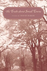 cover of The Truth about Small Towns: Poems
