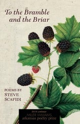 cover of To the Bramble and the Briar: Poems
