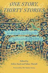 cover of One Story, Thirty Stories: An Anthology of Contemporary Afghan American Literature