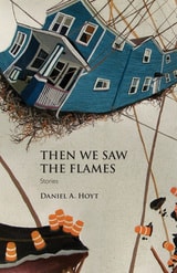 cover of Then We Saw the Flames: Stories