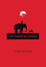 cover of The Thieves of Summer